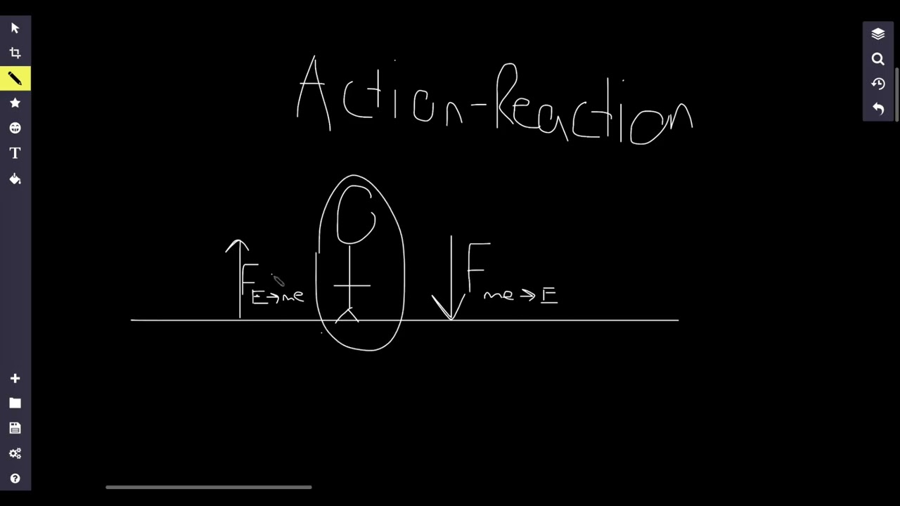 Tirado Test Review Physics