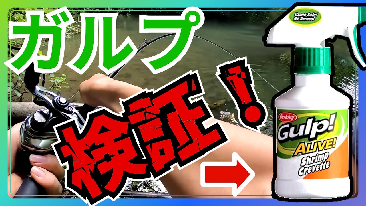 【驚きの結果】ガルプ　検証してみた！　【バス釣り】　群馬の野池
