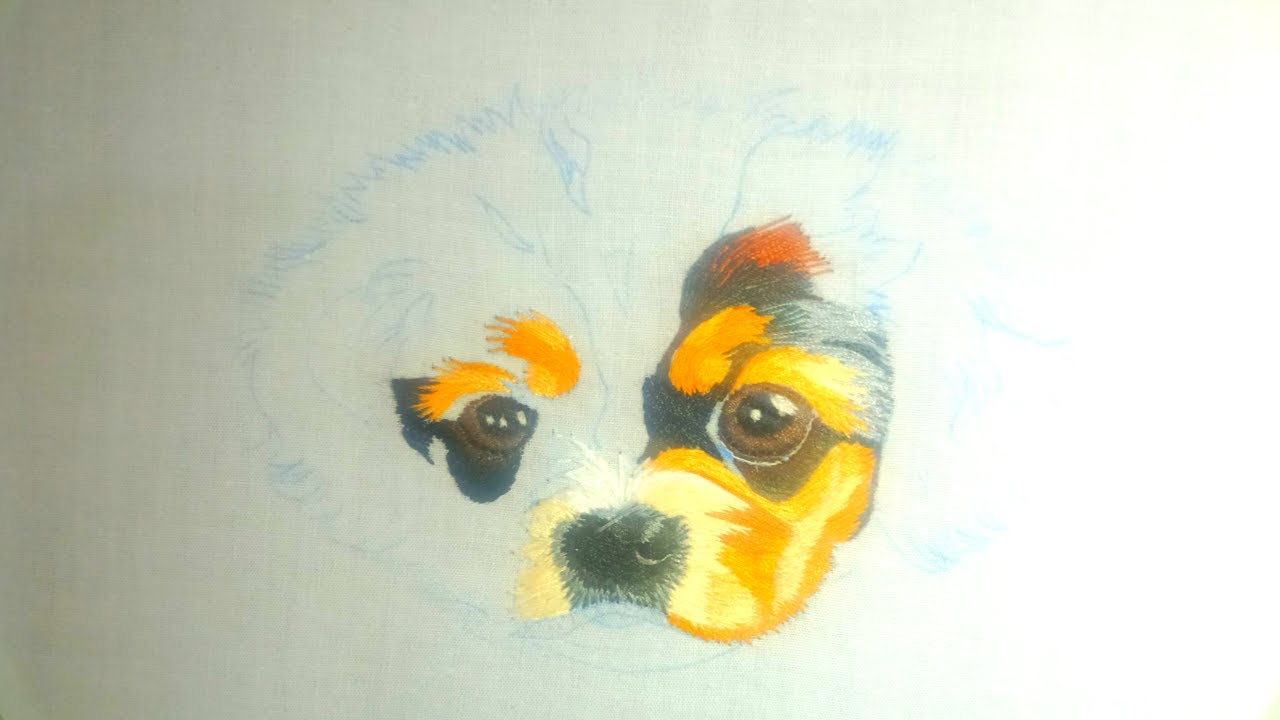 Pet Portrait Hand Embroidery |