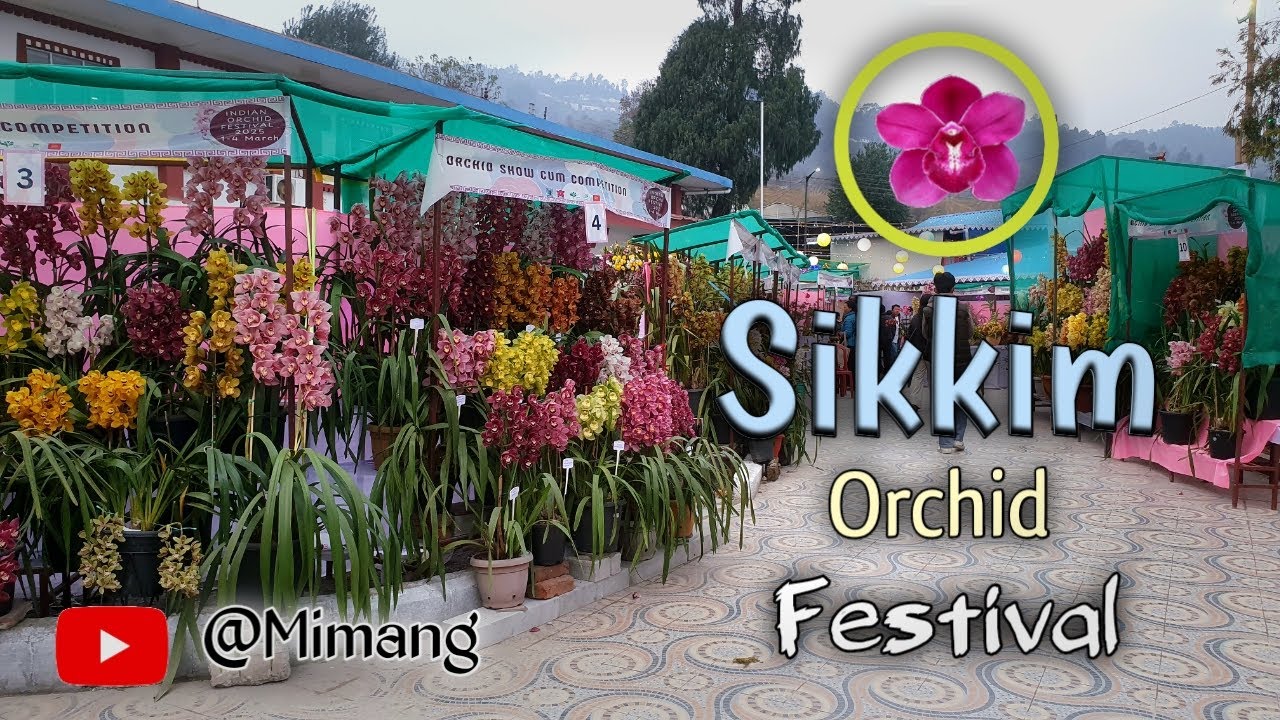 Sikkim Orchid Flower Festival / Mimang Vlog //
