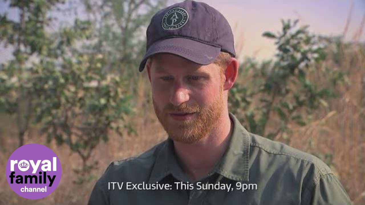 Duke of Sussex Says Africa Would Be 'Amazing' Home But Would Be Hard to Make a 'Difference'