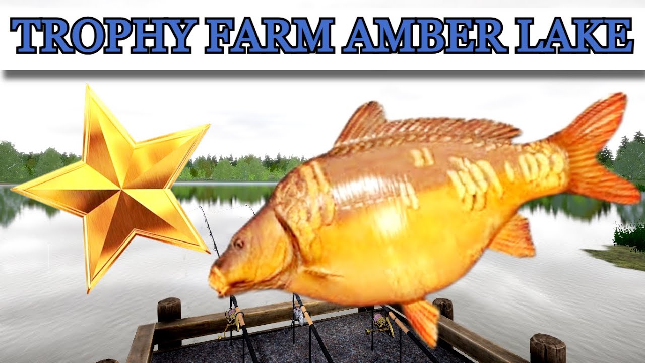 Russian Fishing 4 (RF4) INSANE TROPHY FARM SPOT ON AMBER LAKE!