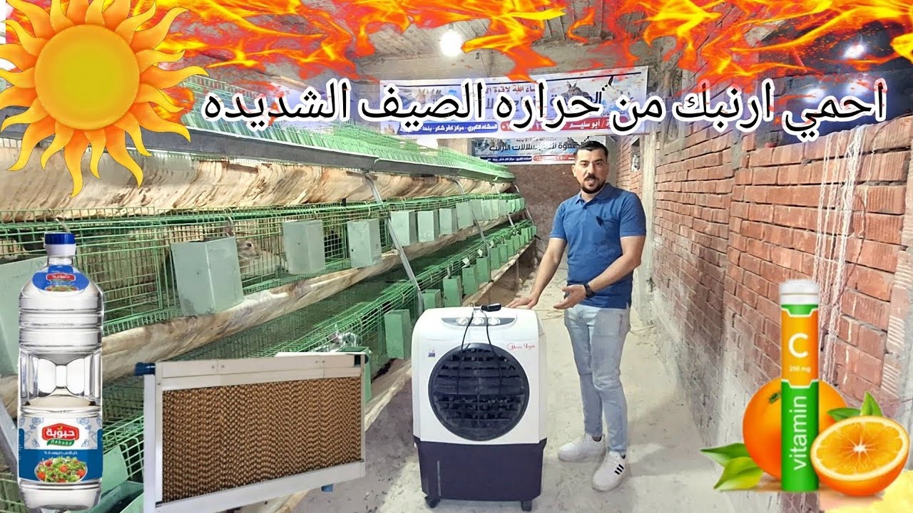 كيف اتخطي حرارة الصيف الشديدة في مزرعه الارانب 🐇
