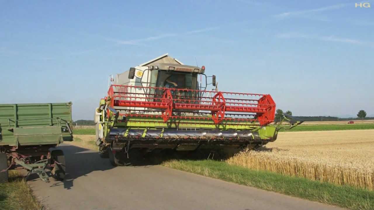 CLAAS LEXION 440 Weizenernte