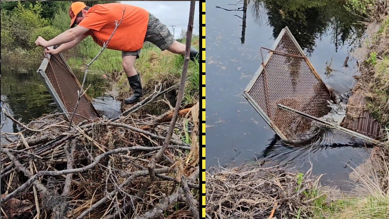 Struggling To Fight Pressure Against Culvert Grate