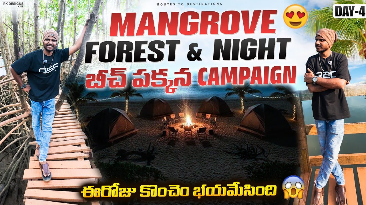 Honnavar || Honnavar Mangrove Forest and Eco Beach