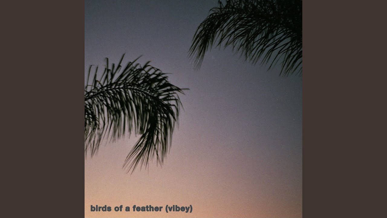 Birds of a Feather (Vibey)