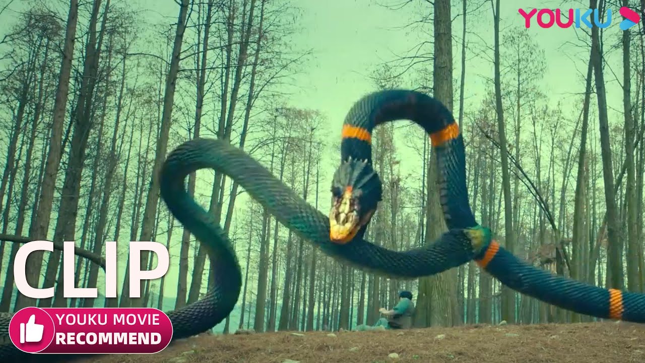 La serpiente persigue a la multitud y aparece otra serpiente | Dinosaurio mutado de ira | YOUKU