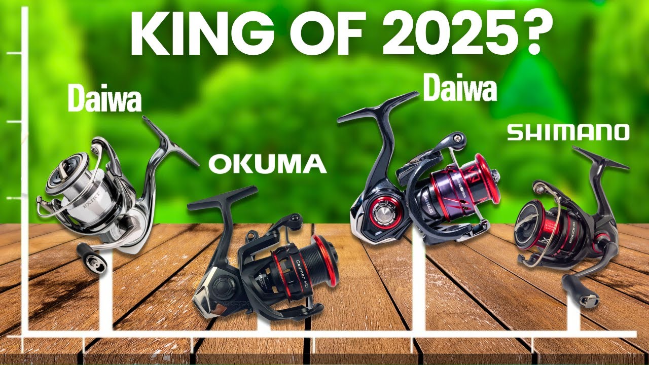 5 Best Spinning Reels 2025 - (Daiwa vs Shimano vs Okuma)