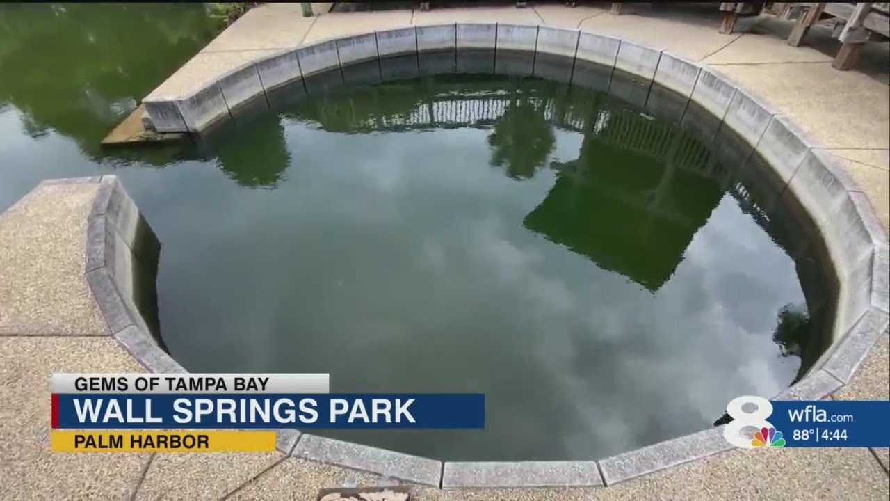 Check out this gem of Tampa Bay: Wall Springs Park