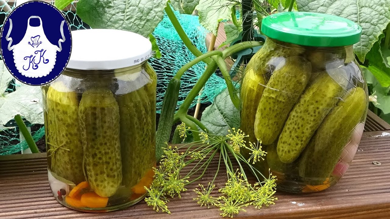 Gurken einkochen auf bulgarische Art, ausgezeichnet lecker