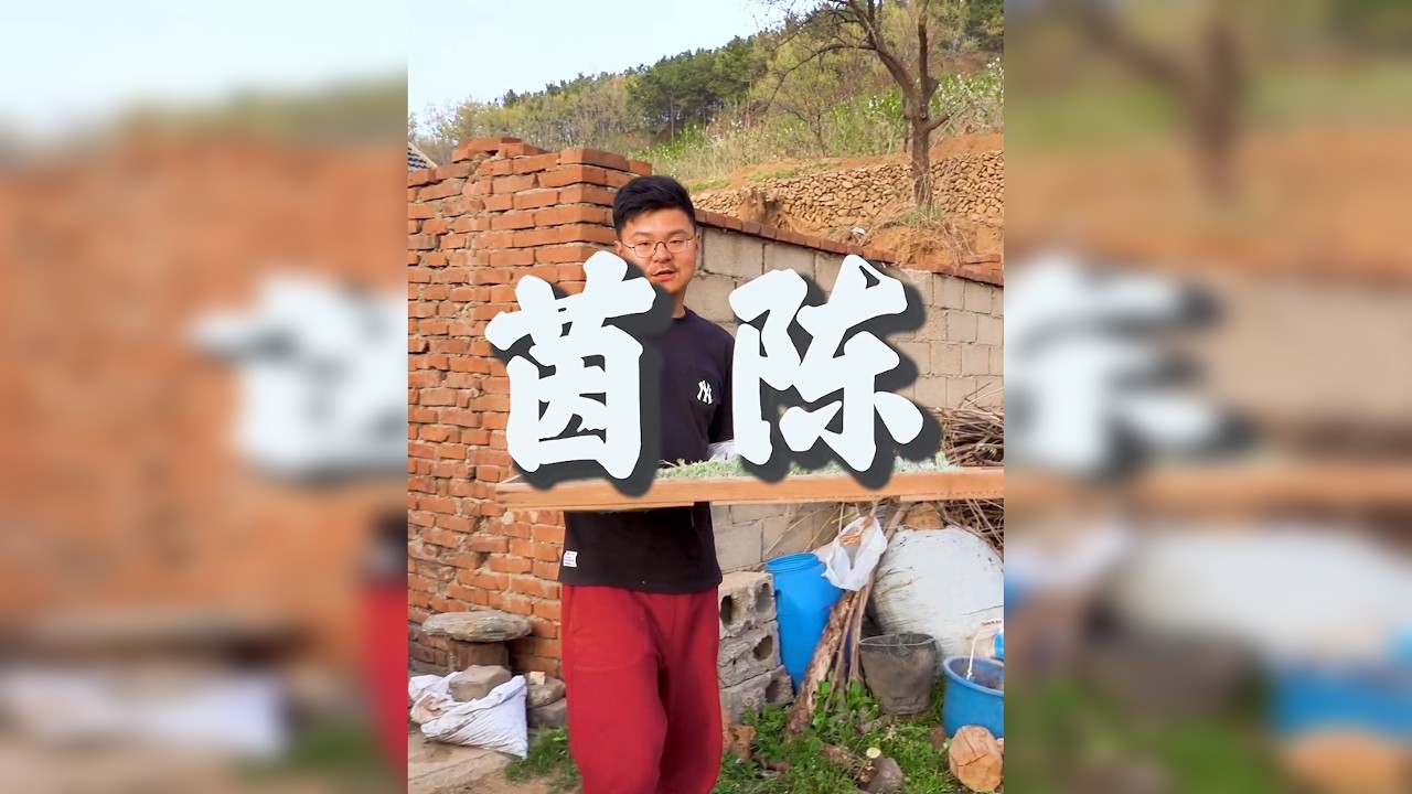 挖茵陈，好东西 三月茵陈，四月蒿，五月直接当柴烧。出门就能挖野菜采药材真爽！守着大山真好！