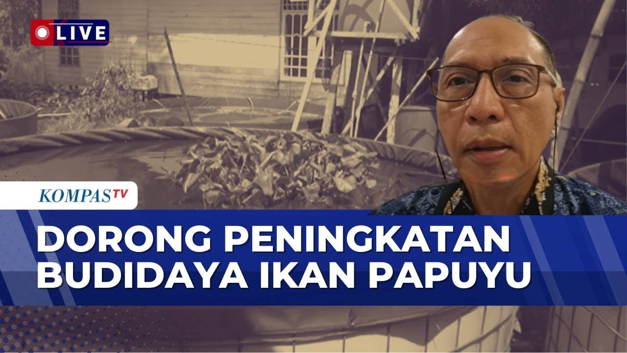 [FULL] Kepala Dinas DKPP Kab Banjar Bahas soal Potensi Budidaya Ikan Papuyu | JURNAL NUSANTARA