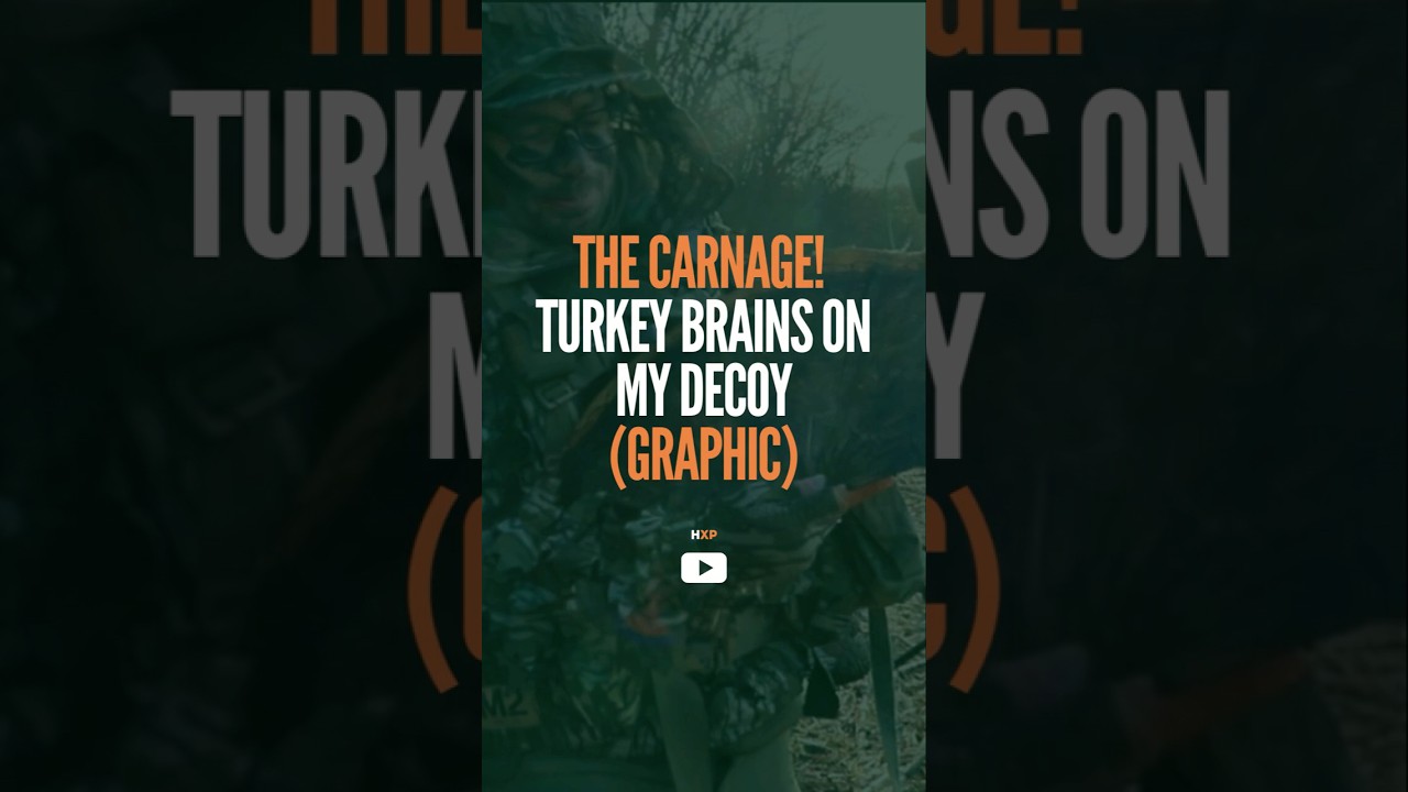 Turkey Hunting Fails: BBs Stuck Everywhere! 🎯😂 #hunting