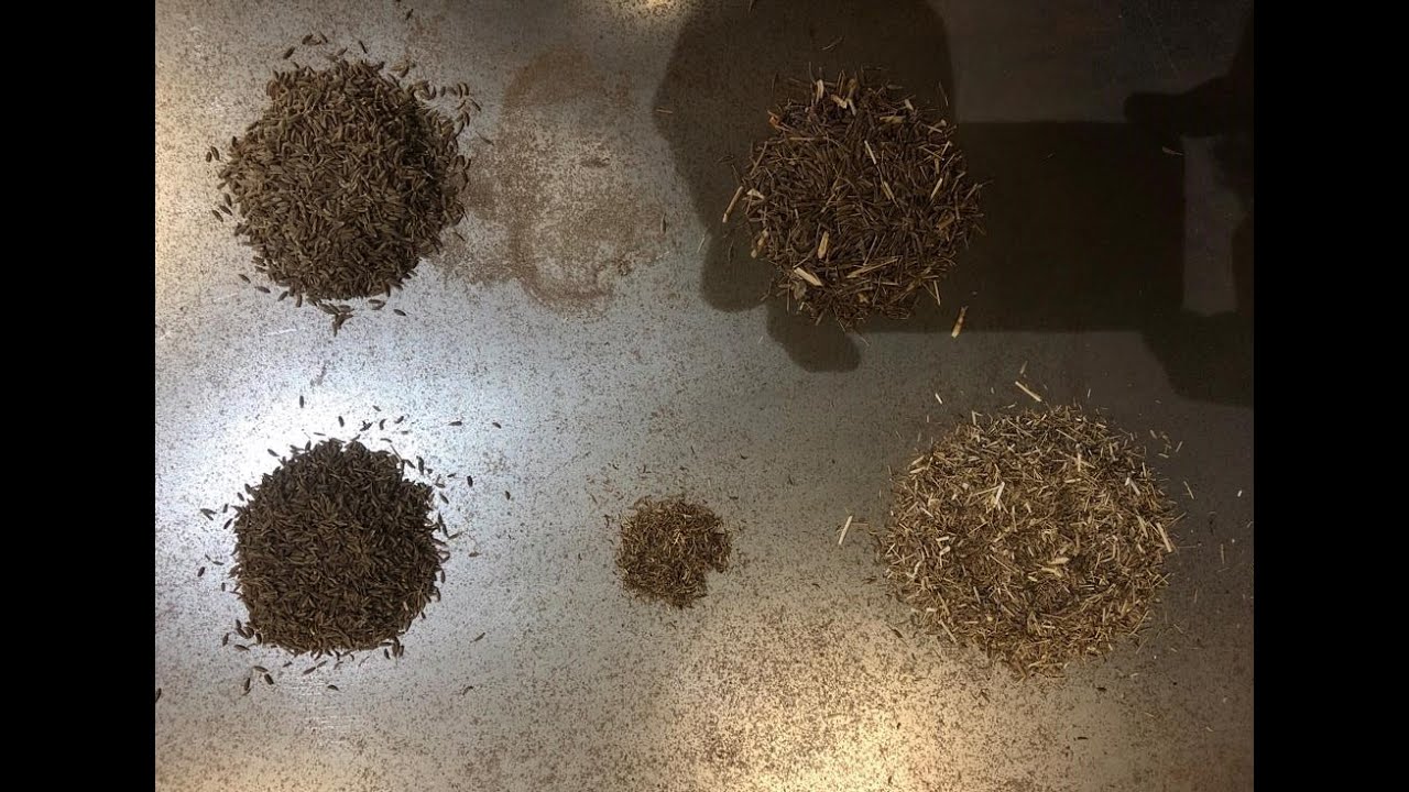 Kleano - Cumin Seeds ( Jeera ) Cleaning & Grading Machine