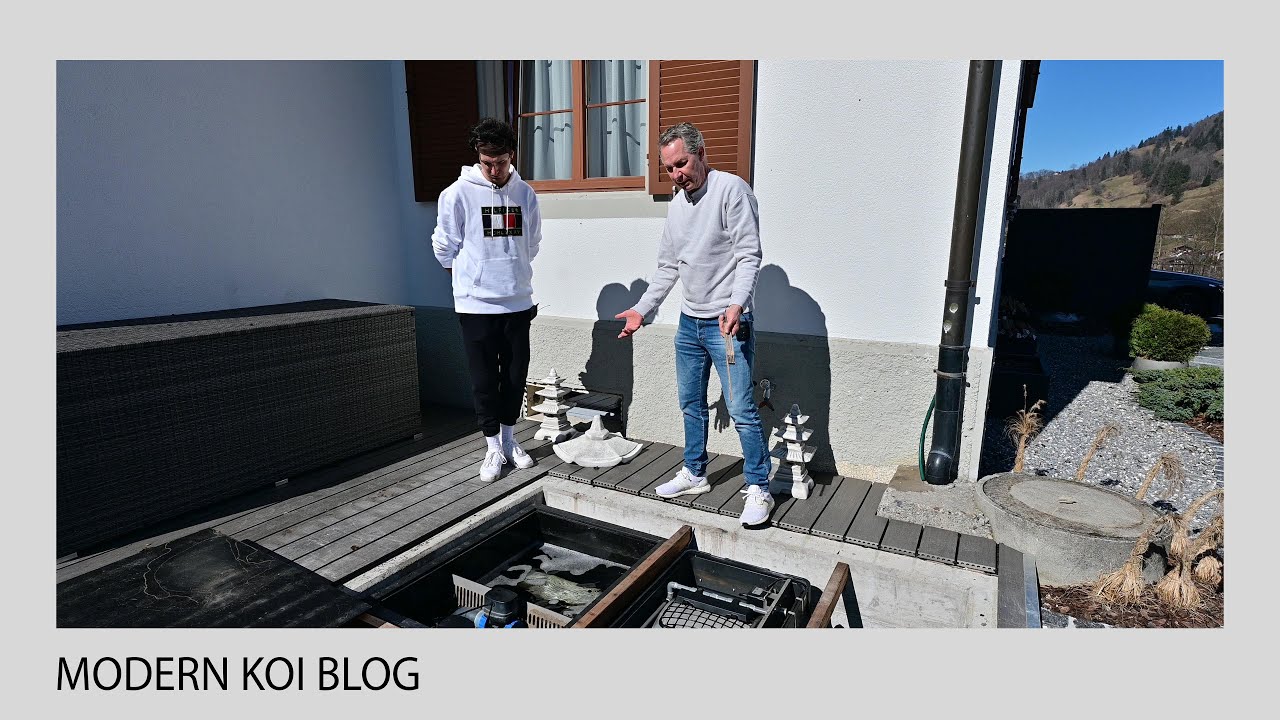Modern Koi Blog #5198 - So empfehlen wir Mathias seinen Filter neu zu designen