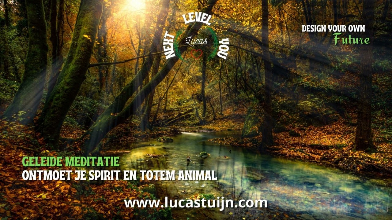 Geleide meditatie | Ontmoet je spirit en totem animal