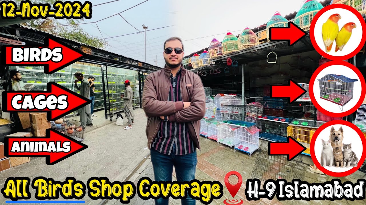 Sunday Birds market Islamabad || Whole bazar Coverage || All shops Visiting vlog.