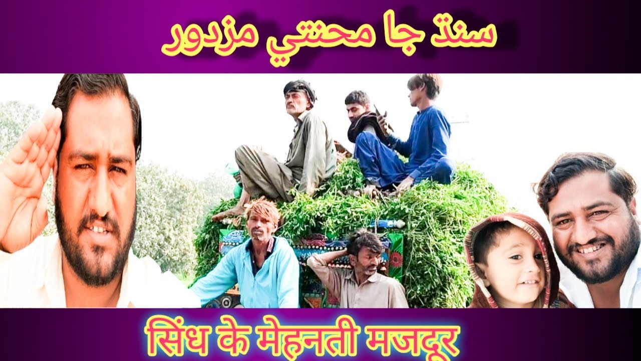 سنڌ جا محنتي مزدور | Hardworking Heroes of Sindh | Real Labour Life #Sindh #MehnatiMazdoor #Hardwor