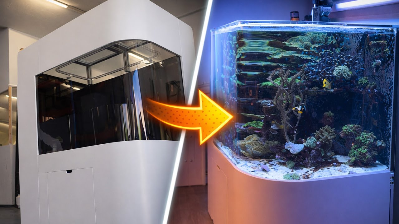 Vorher & Nachher - RUNDES DROP OFF Meerwasseraqauarium 😱