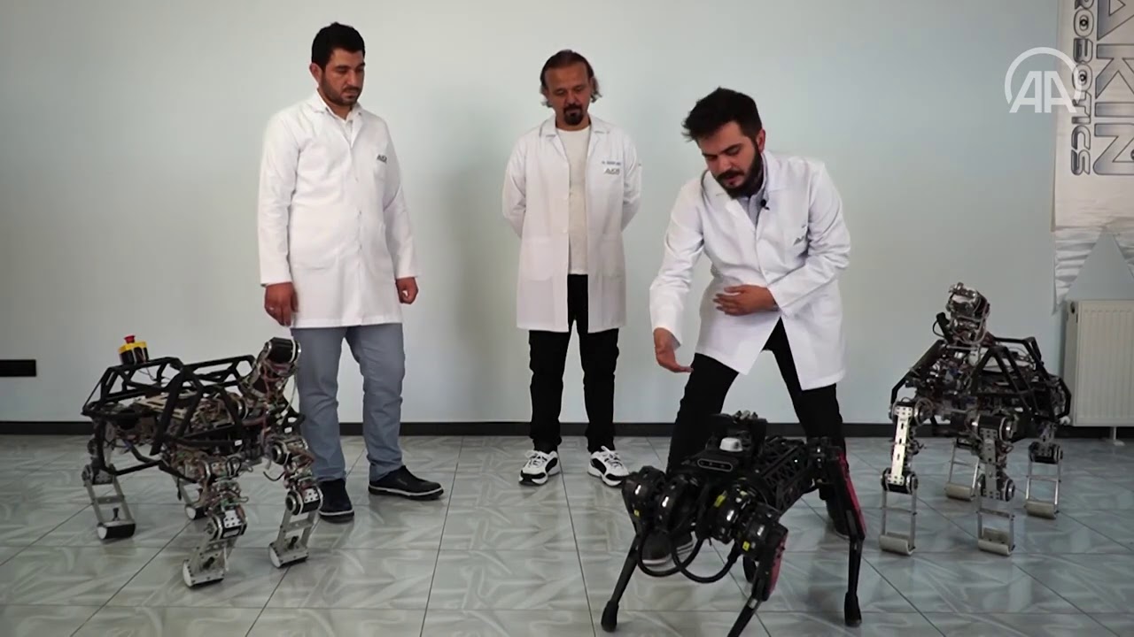 Robot 