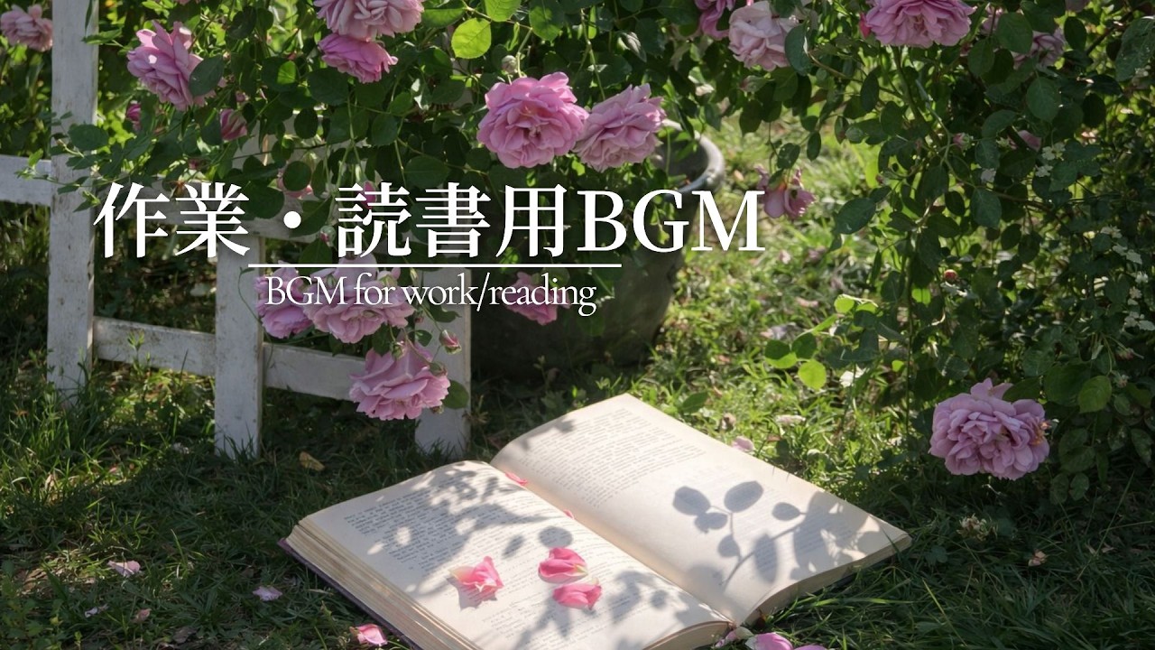 作業用BGM｜読書タイムに最適な癒しピアノ 1時間BGM ☕ 集中できる落ち着く音楽