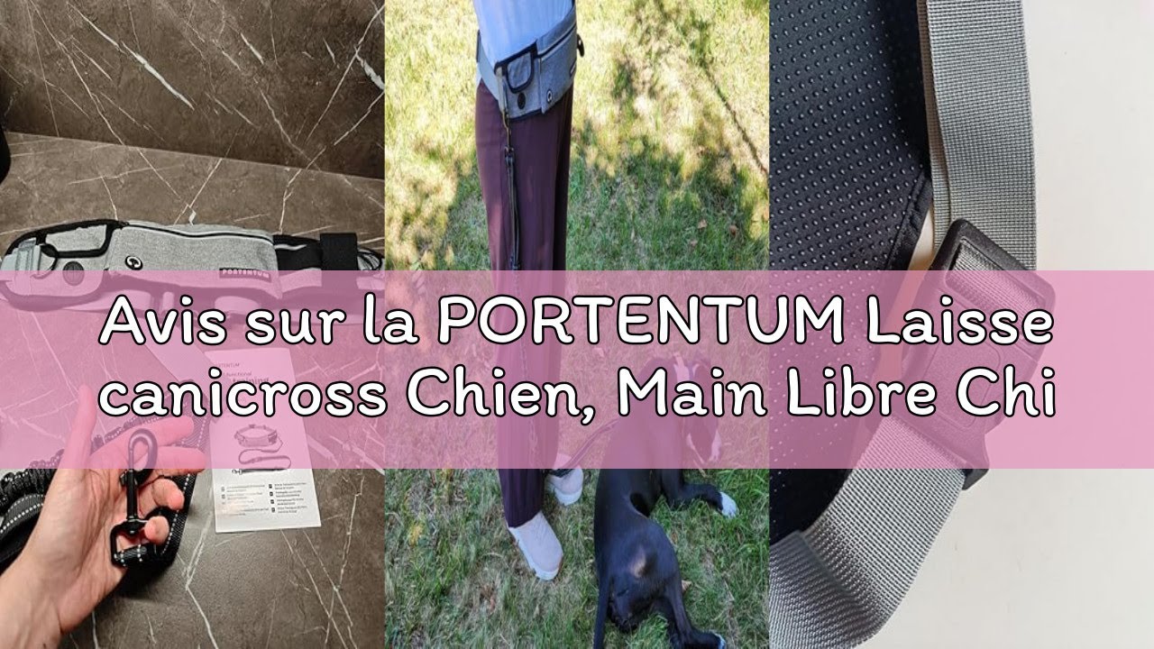 Avis sur la PORTENTUM Laisse canicross Chien, Main Libre Chien, Anti-tirons, pour Ceinture, avec Poc