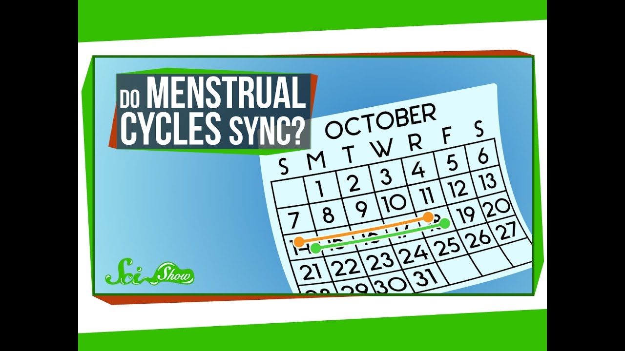 Do Menstrual Cycles Really Sync Up?