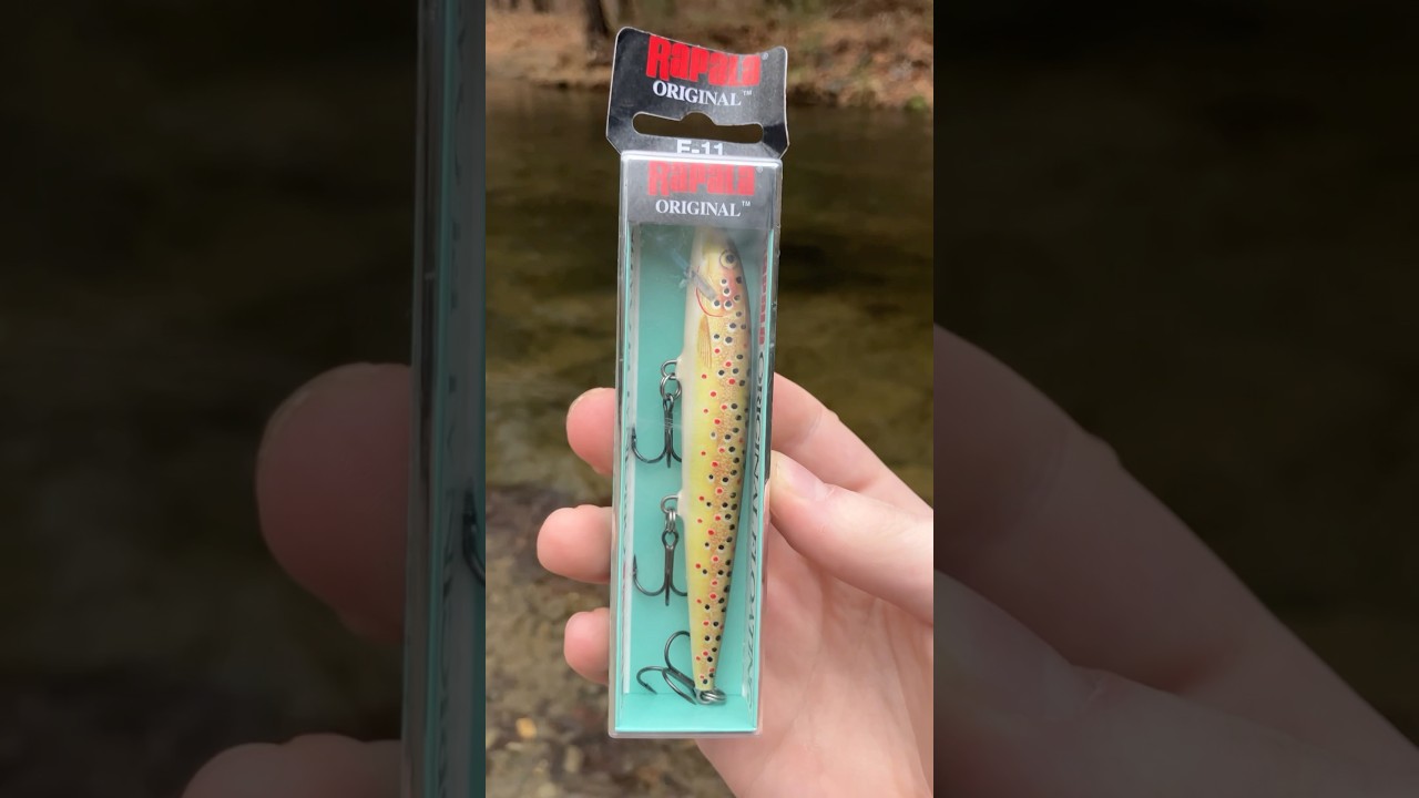 F-11 Rapala Is UNDERRATED