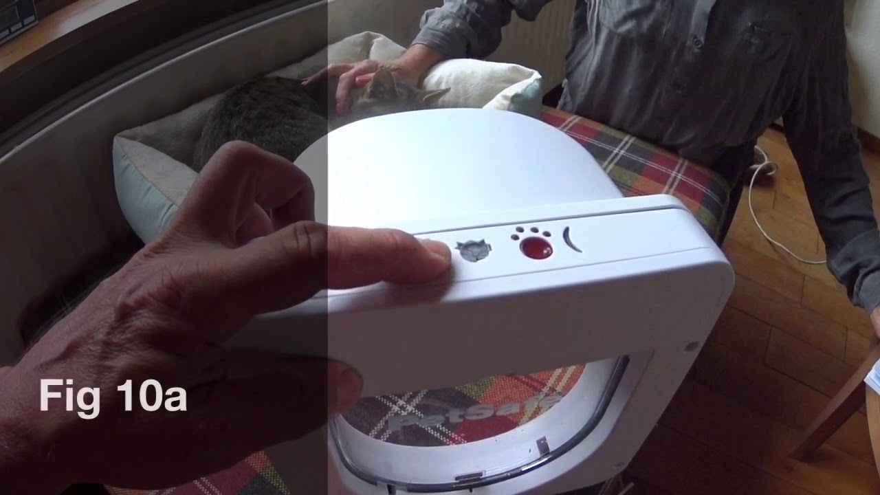 PetSafe pet Door (kattenluik met chip)