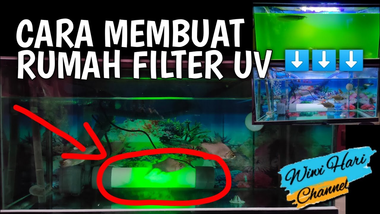 Filter UV Aquarium || Cara Pasang Lampu UV di Filter || Filter UV Pipa PVC