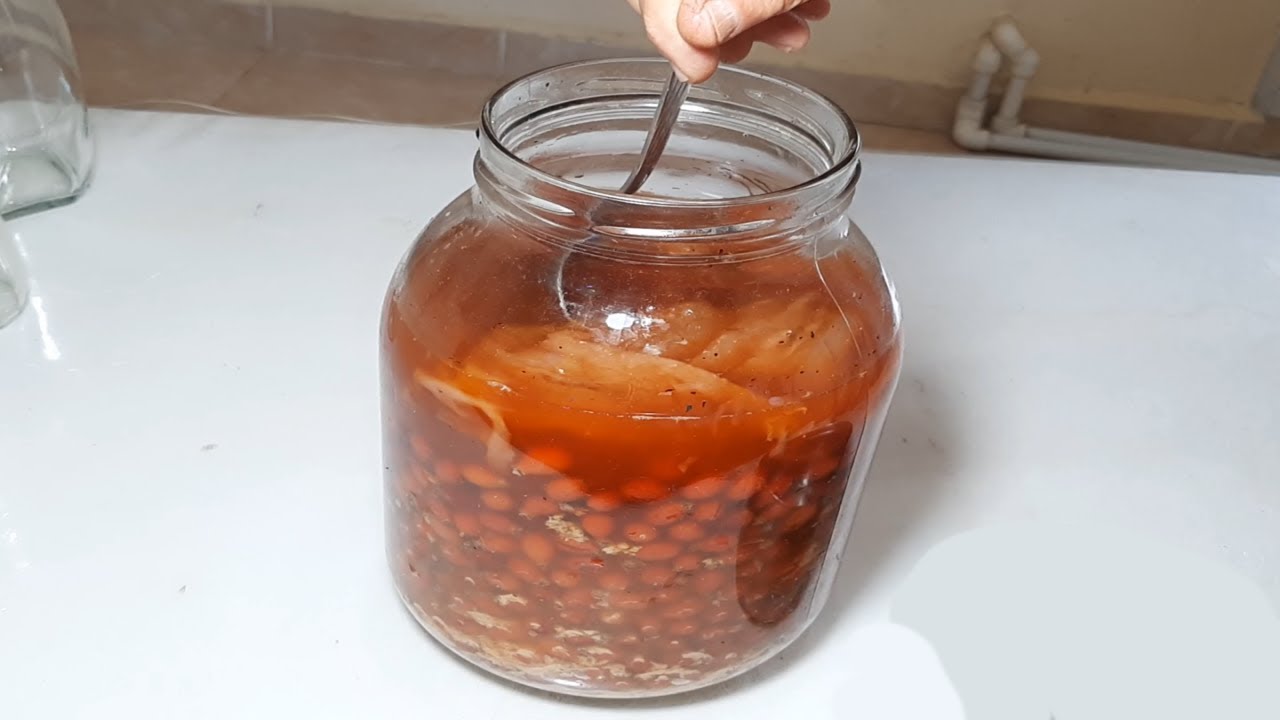 Sirkesini Kurusundan bile Yapın Kışın Girip  Olmayın Kuşburnu Sirkesi Nasıl Yapılır