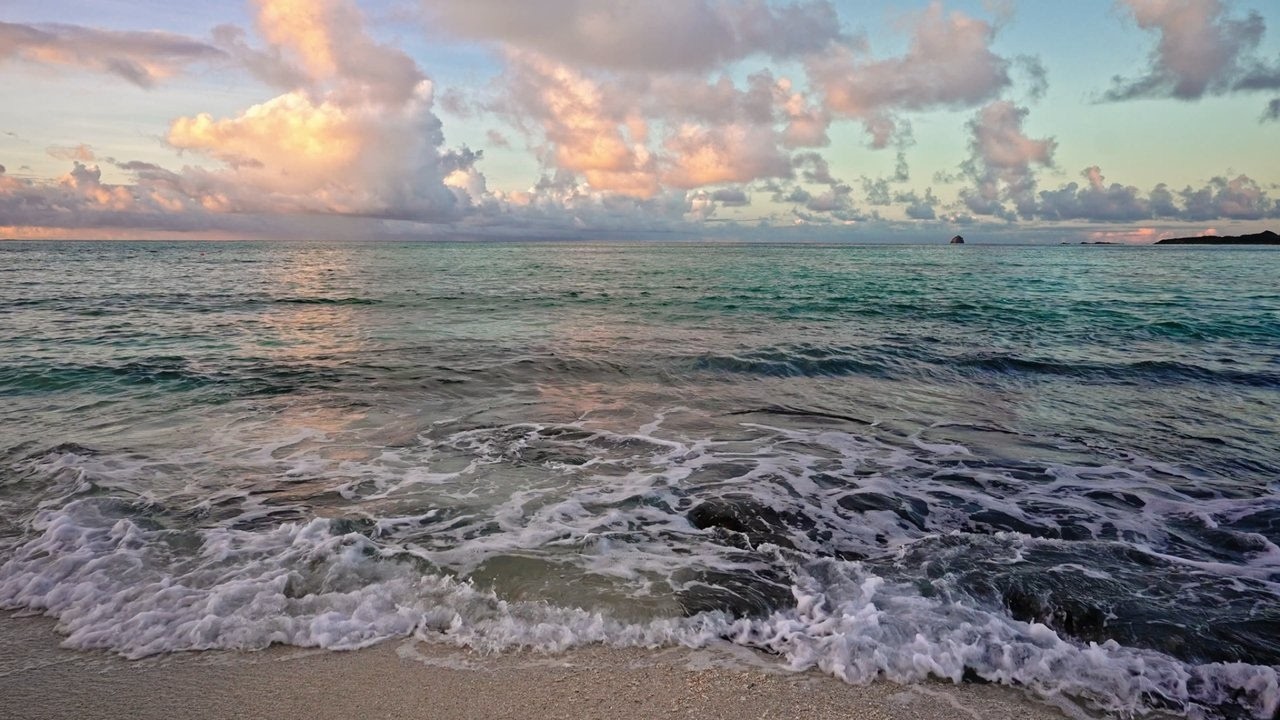 Beach Waves for Sleep 🌊 10 Hours of Relaxing Ocean Sounds & Sunrise Ambience