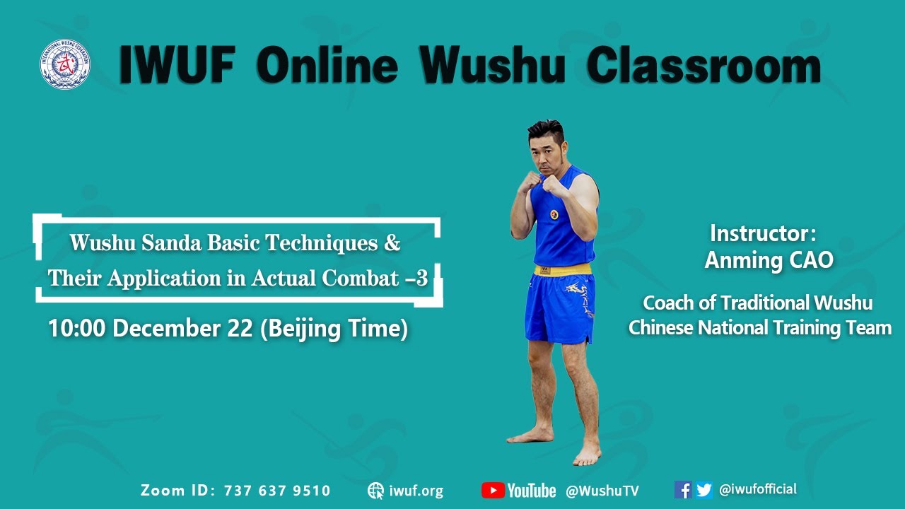 Wushu Sanda Basic Techniques & Their Application in Actual Combat-3