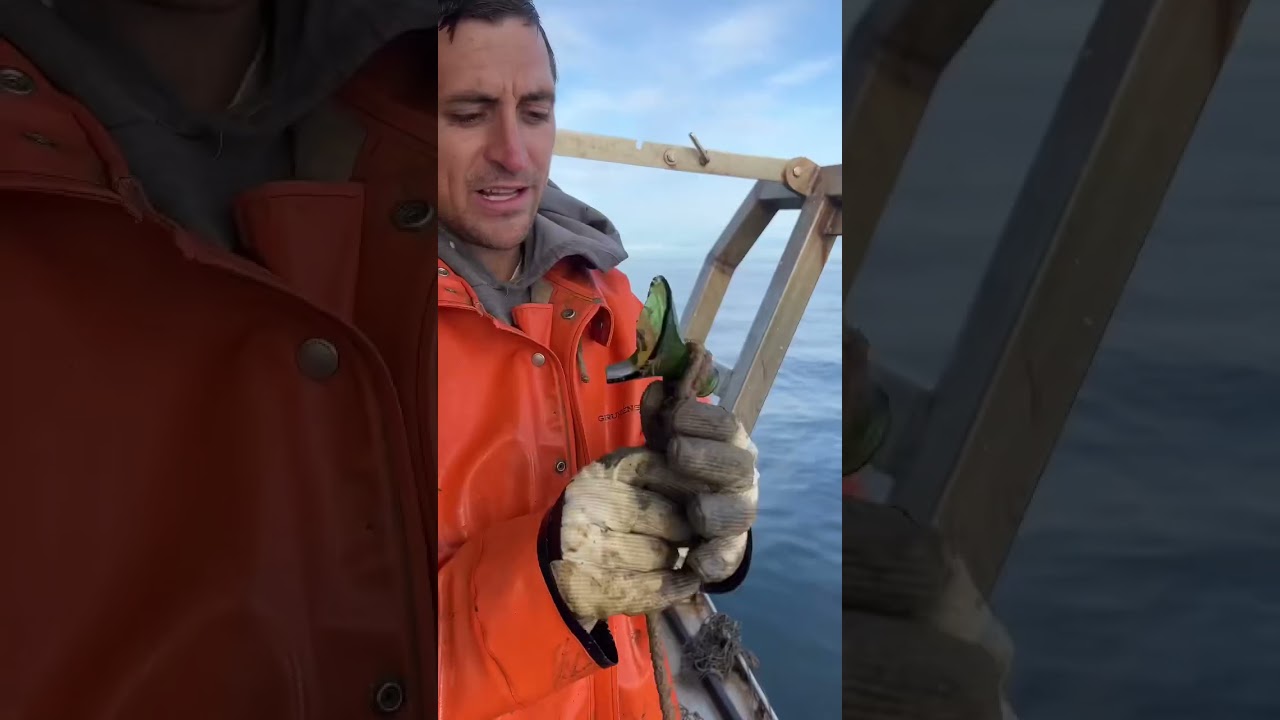 Awesome rare catch! 🦞
