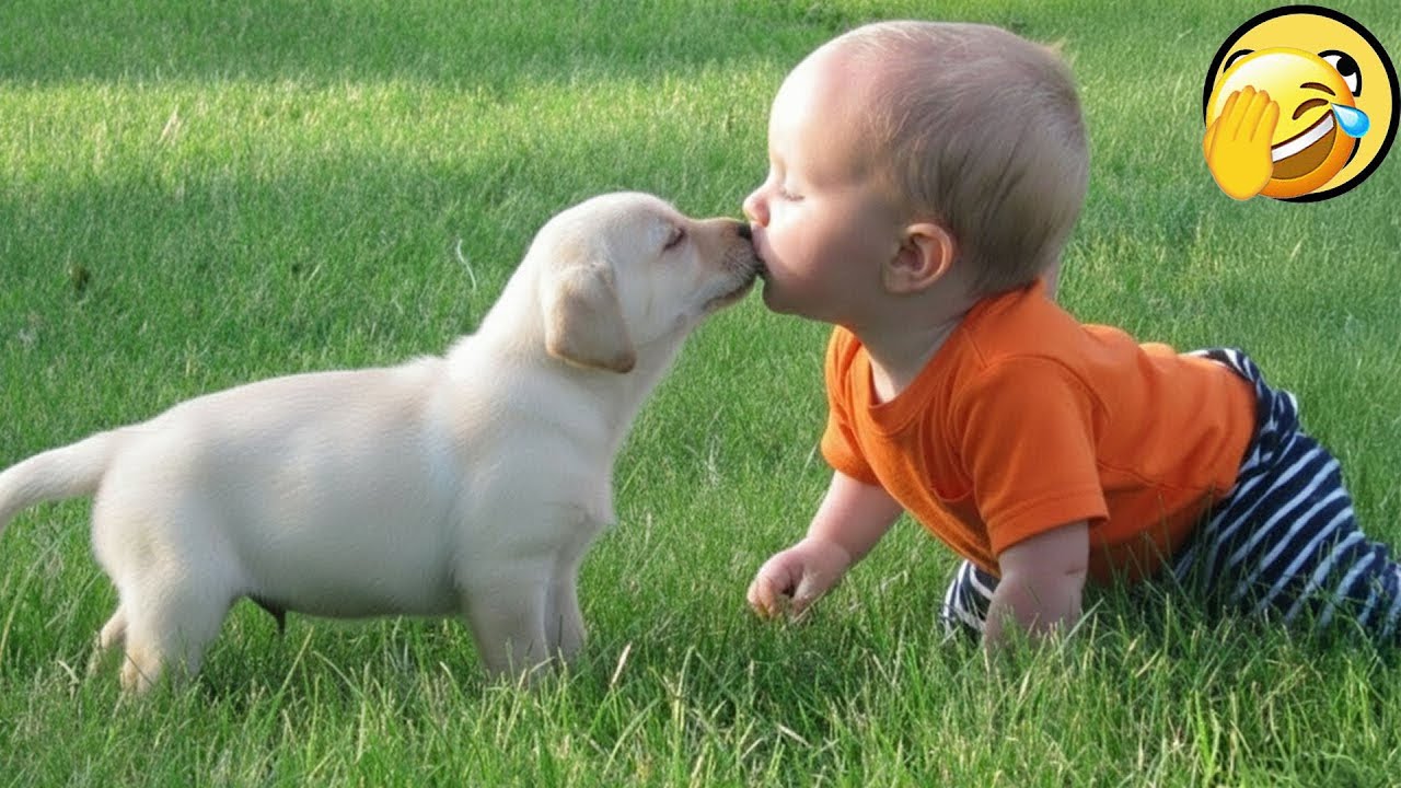 When my dog loves my child more than I do .🥰❤️#dog #baby #love #bestfriend