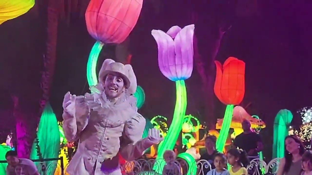 alice nel paese delle meravigle, wonderland show