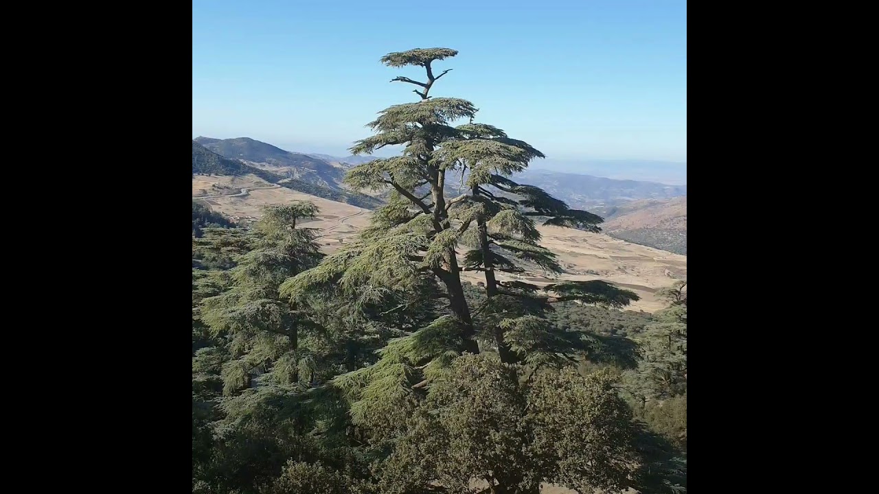 Parc National De Theniet El Had, Tisemsilt