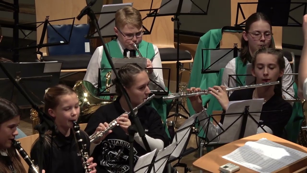 2025 Neujahrskonzert -08- NW-Orchester - Can't help falling in Love - Weiss, Peretti, Creatore