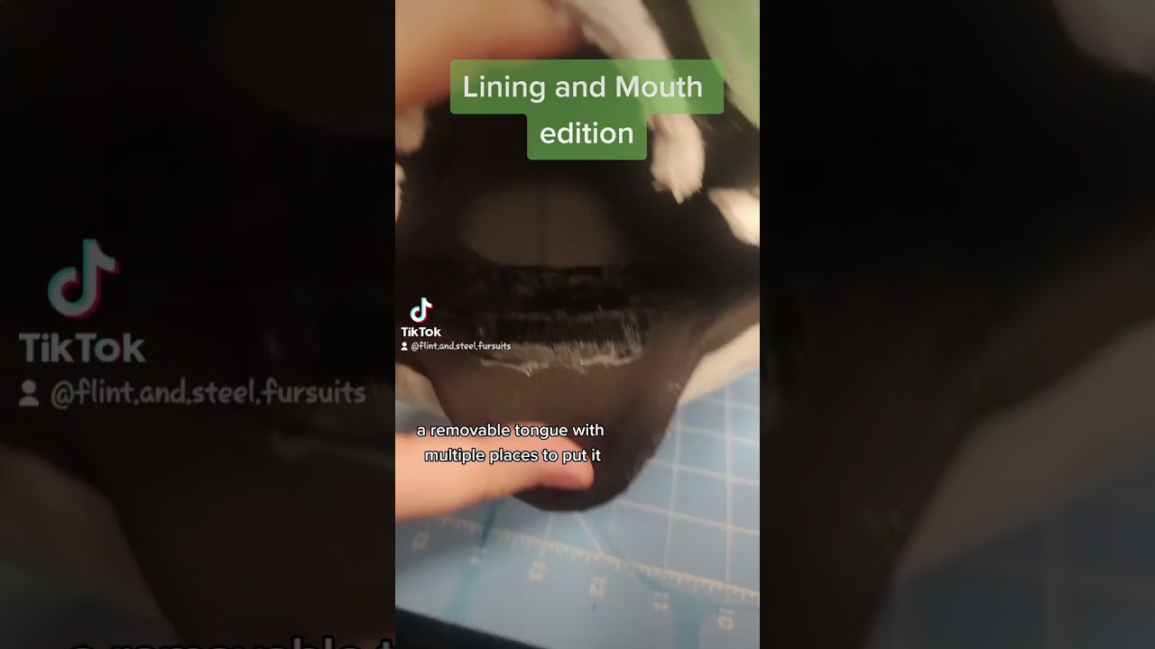 lining and Mouth features