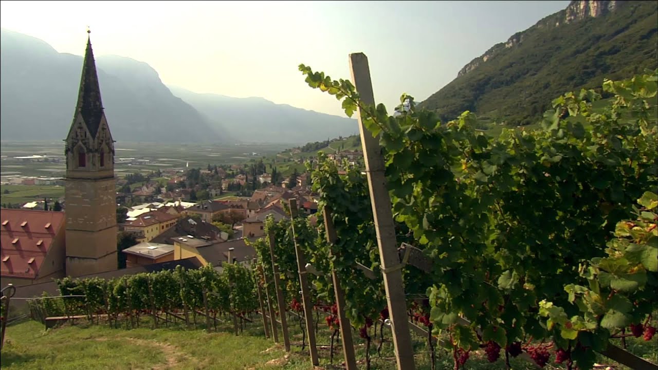 Südtirol/Alto Adige Wine - educational film