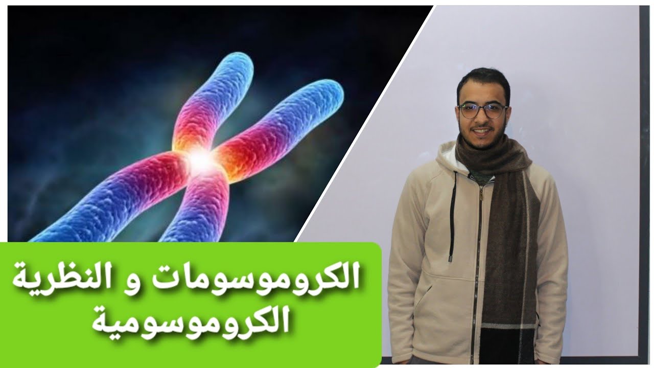 شرح أحياء أولى ثانوي /الترم الثاني ✏✏ ( الكروموسومات + النظرية الكروموسومية )