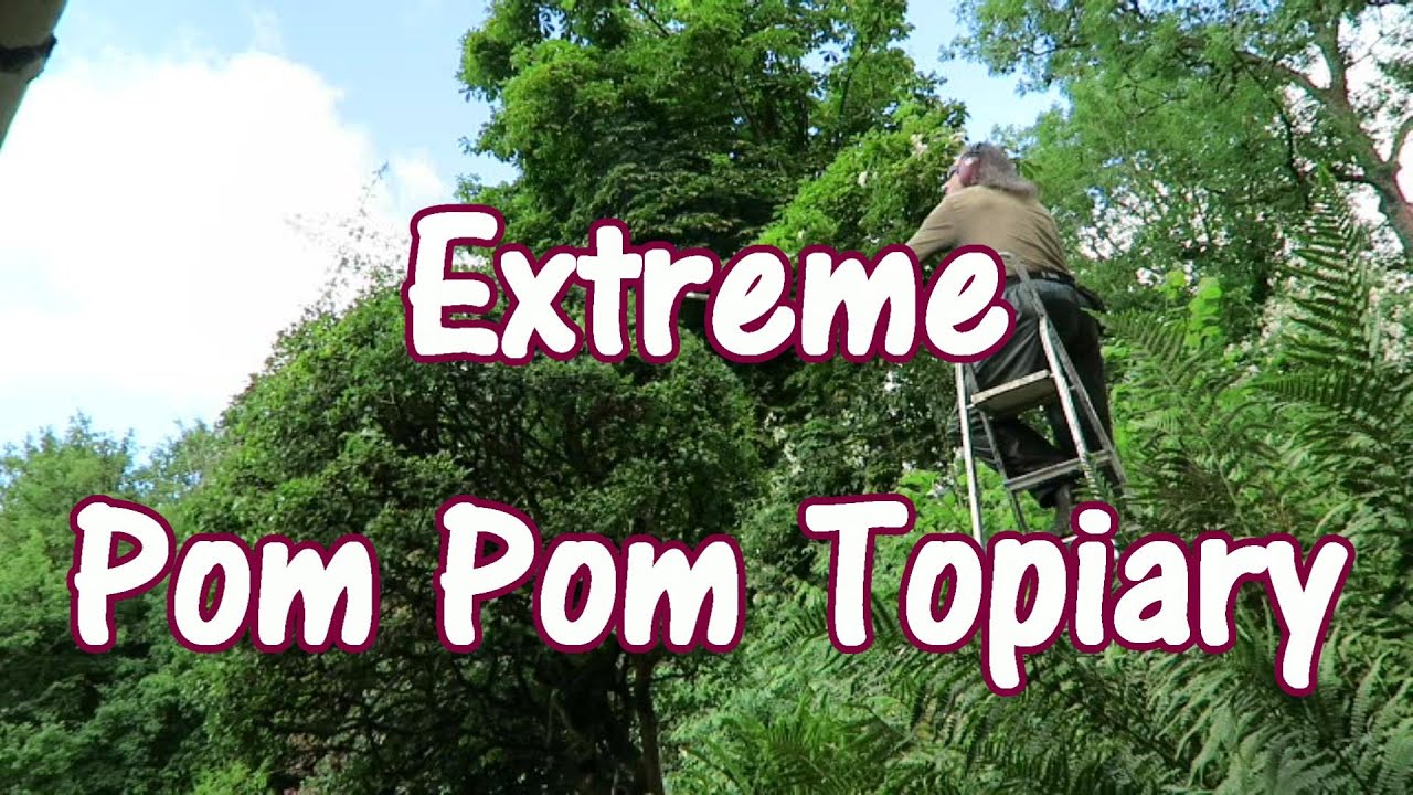 Tree Pom Pom Topiary on a Slope