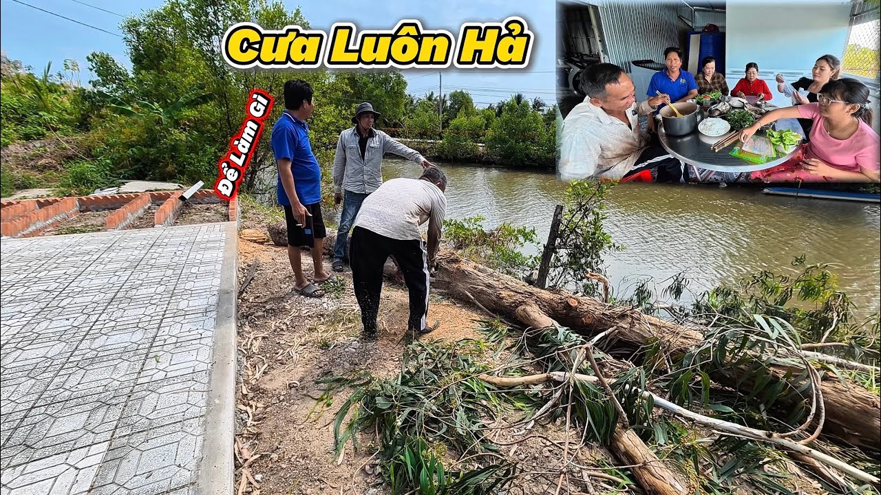 Mướn Thợ Vô Cưa Cây Và Làm Món Mỹ Trinh Thích Để Xuất Viện