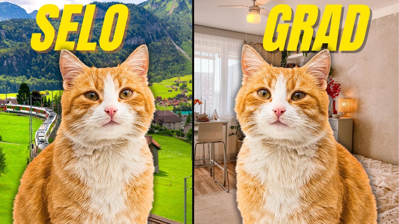 Gde je SREĆNIJA? (DVA SVETA – JEDNA MAČKA)