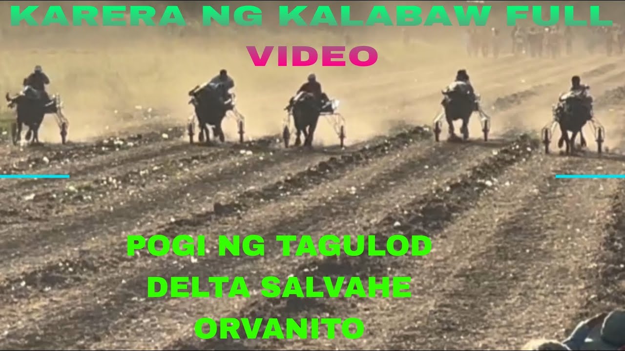 KARERA NG KALABAW POGI NG TAGULOD DELTA SALVAHE URVANITO BAKBAKAN FULL VIDEO
