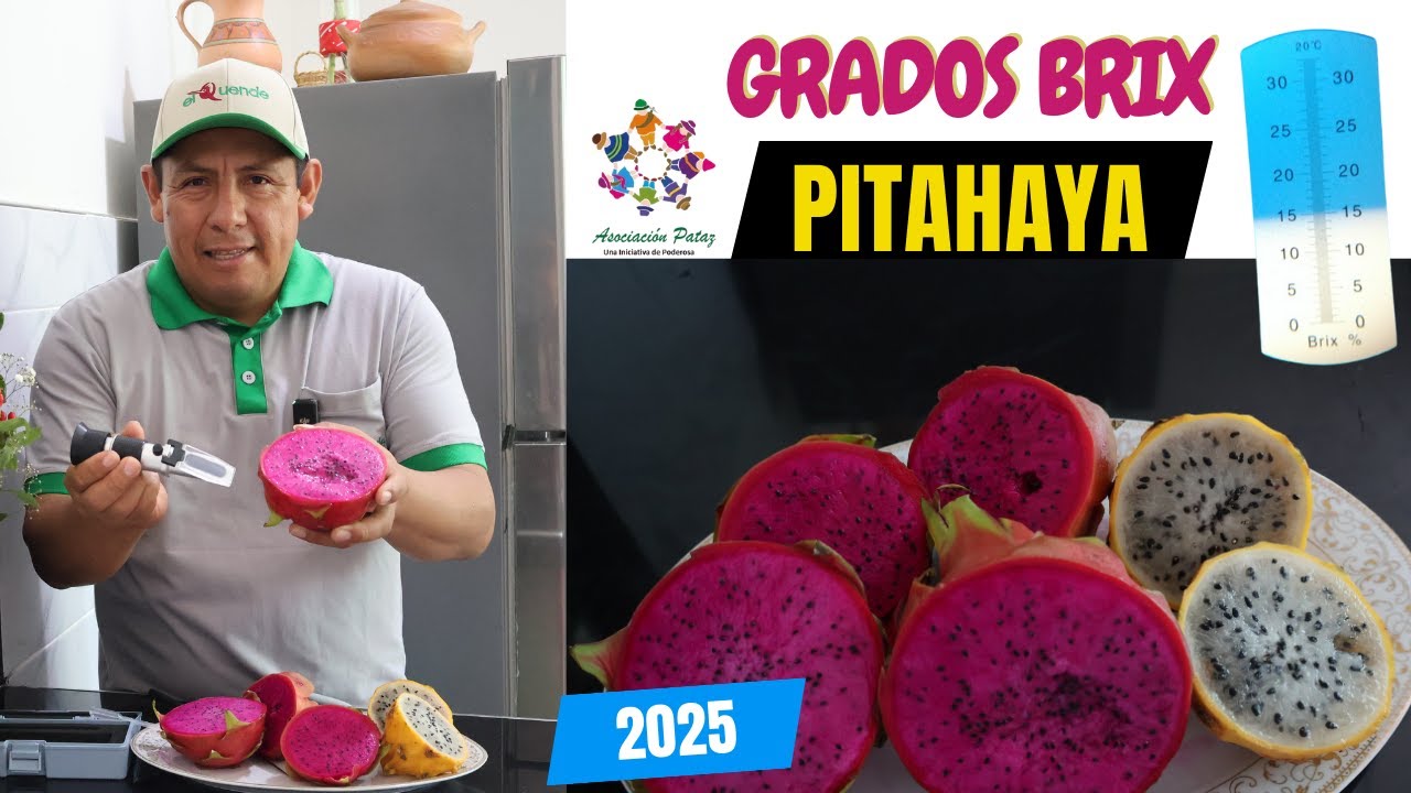 Grados BRIX en PITAHAYA 2025