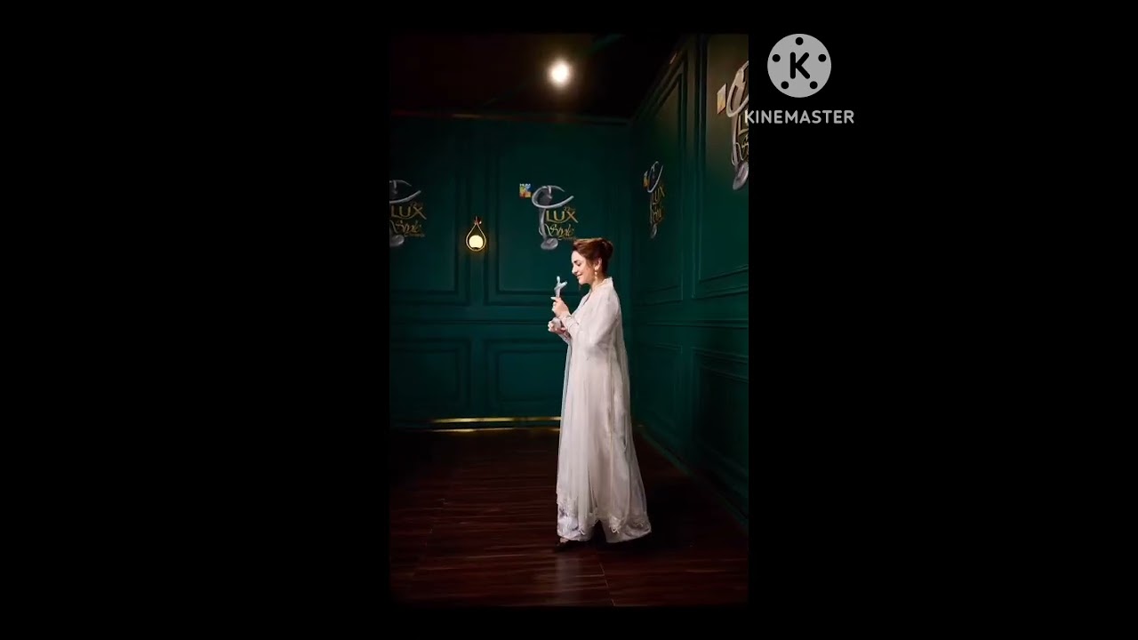 yumna zaidi won two lux style award best actress viewers choise award , best actress critics award