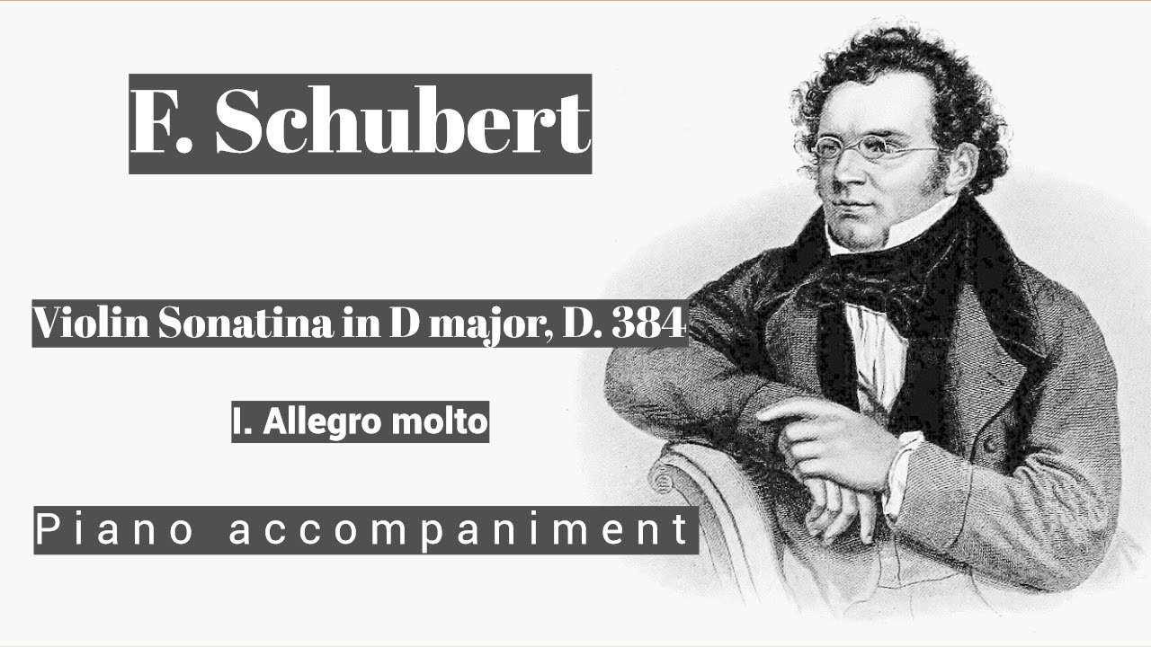 Schubert - Violin Sonatina in D major, D. 384 - I. Allegro molto - Piano Accompaniment