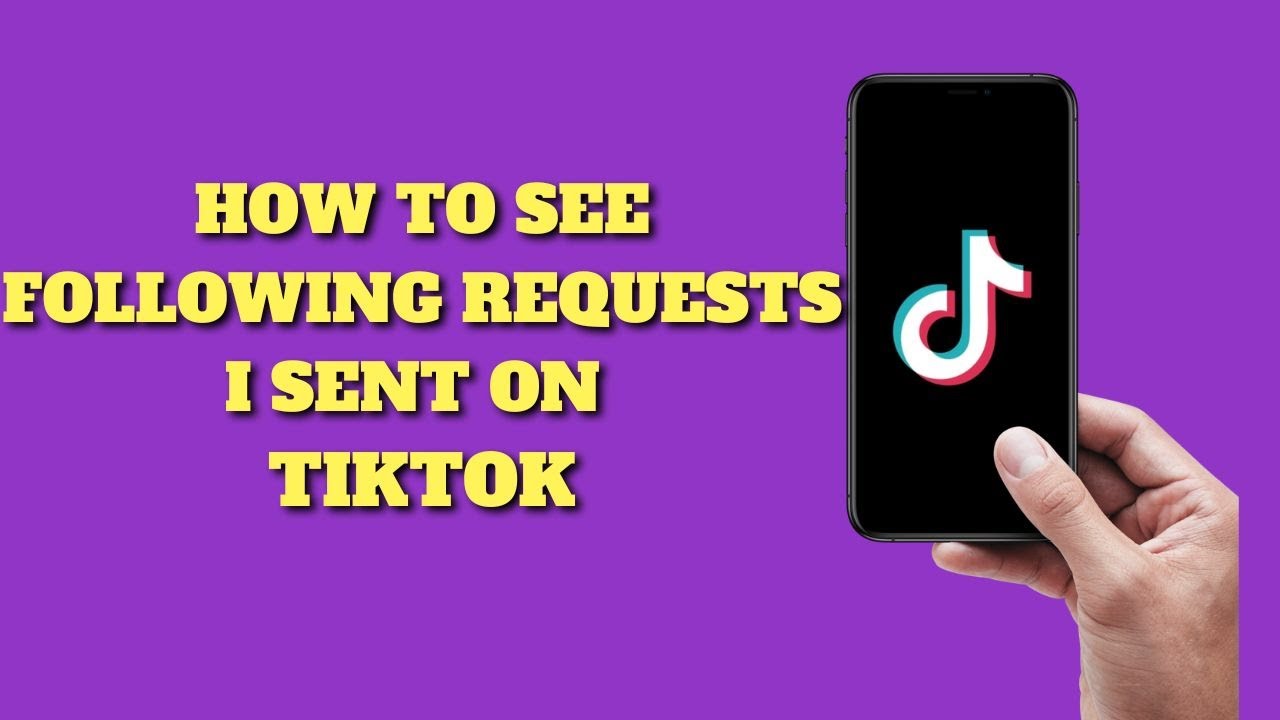 How to See Following Requests I've Sent on TikTok